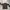 Luxury Futurist Track jacket Pria brown photo 1