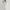 Casual Casual trouser Wanita white photo 1