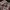 Lee Cooper Casual Formal shirt Pria multicolor photo 7