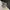 New Balance Sportswear Sneakers Pria multicolor photo 1