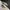 On Running Sportswear Sneakers Pria white black photo 1
