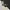 Onitsuka Tiger Sportswear Sneakers Wanita white black photo 1