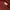 Y2K Crop top Wanita burgundy photo 4