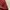 Y2K Crop top Wanita burgundy photo 3