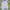 Disney Casual Baju bayi Kids multicolor photo 2