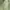 Brandy Melville Streetwear Y2K Sweatpants & Joggers Wanita green photo 5