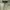 Brandy Melville Streetwear Y2K Sweatpants & Joggers Wanita green photo 4