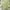 Brandy Melville Streetwear Y2K Sweatpants & Joggers Wanita green photo 1