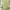 Brandy Melville Streetwear Y2K Sweatpants & Joggers Wanita Green