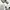 Dior Casual Sneakers Wanita white black photo 1