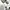 Dior Casual Sneakers Wanita White Black