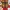 Streetwear Reworked Boots Pria tan brown photo 6