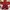 Puma Streetwear Sneakers Pria White Red