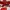 Puma Streetwear Sneakers Pria White Red