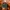 Y2K Hat Pria green photo 2
