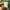 A Bathing Ape Streetwear T-shirt Pria green photo 6
