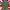 A Bathing Ape Streetwear T-shirt Pria Green