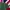 A Bathing Ape Streetwear T-shirt Pria green photo 2