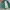 Vintage Harrington jacket Pria green photo 2
