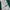 Vintage Harrington jacket Pria green photo 3