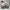 Nike Futurist Sneakers Pria multicolor photo 1