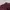 Skater Casual Sweatpants & Joggers Wanita burgundy photo 4