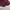 Skater Casual Sweatpants & Joggers Wanita burgundy photo 2