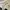 Nike Streetwear Casual Sneakers Wanita multicolor photo 5