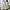 New Balance Streetwear Casual Sneakers Wanita white tan photo 5