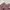 Y2K Lolita Skirt Wanita pink photo 5