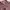 Y2K Lolita Skirt Wanita pink photo 4
