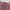 Y2K Lolita Skirt Wanita pink photo 3