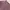 Y2K Lolita Skirt Wanita Pink