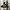 Adidas Streetwear Casual Sneakers Wanita white black photo 6