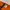 H&M Y2K Crop top Wanita orange photo 2