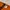 H&M Y2K Crop Top Wanita Orange