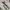 Adidas Vintage Streetwear Jersey Pria white photo 2