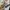 Adidas Vintage Streetwear Jersey Pria white photo 3