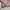 Y2K Fur Coat Wanita Pink