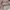 Y2K Fur coat Wanita pink photo 4