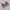 H&M Lolita Coquette Wanita purple photo 2