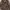ESPRIT Brown Faux Leather Jacket Size photo 3