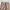 Japanese brand Casual Casual pants Pria tan photo 4