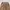 GU Casual Casual pants Pria tan photo 4