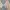 H&M Lolita Coquette Bodycon dress Wanita multicolor pink photo 3