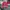 New Era Casual Hat Pria red photo 1