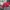 New Era Casual Hat Pria red photo 2