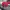 New Era Casual Hat Pria red photo 3