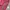 Justice Y2K Sportswear Sweatpants & Joggers Kids pink photo 4