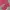 Justice Y2K Sportswear Sweatpants & Joggers Kids Pink
